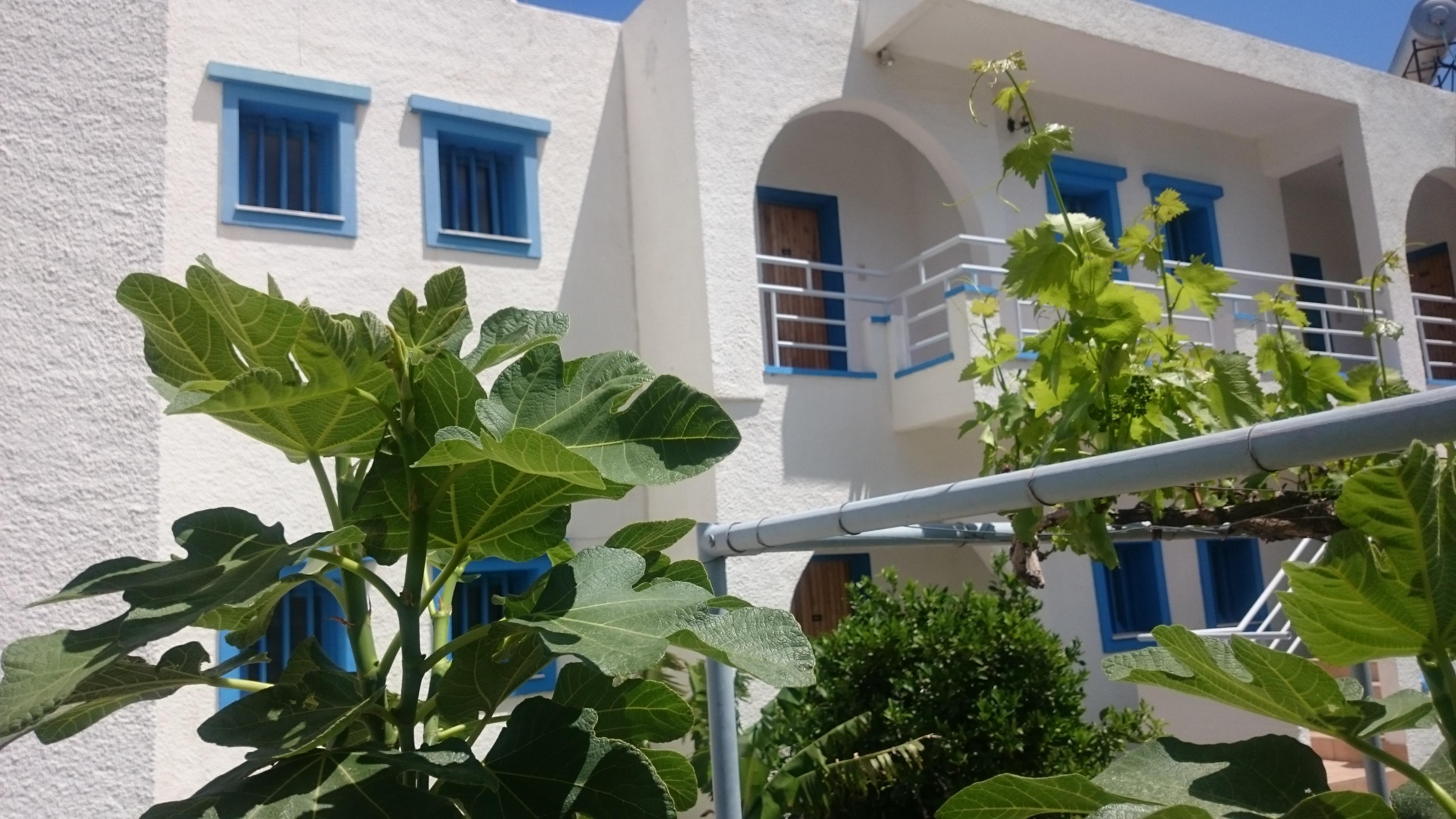 Amazones Villas Apartments Limenas Chersonisou Exterior foto