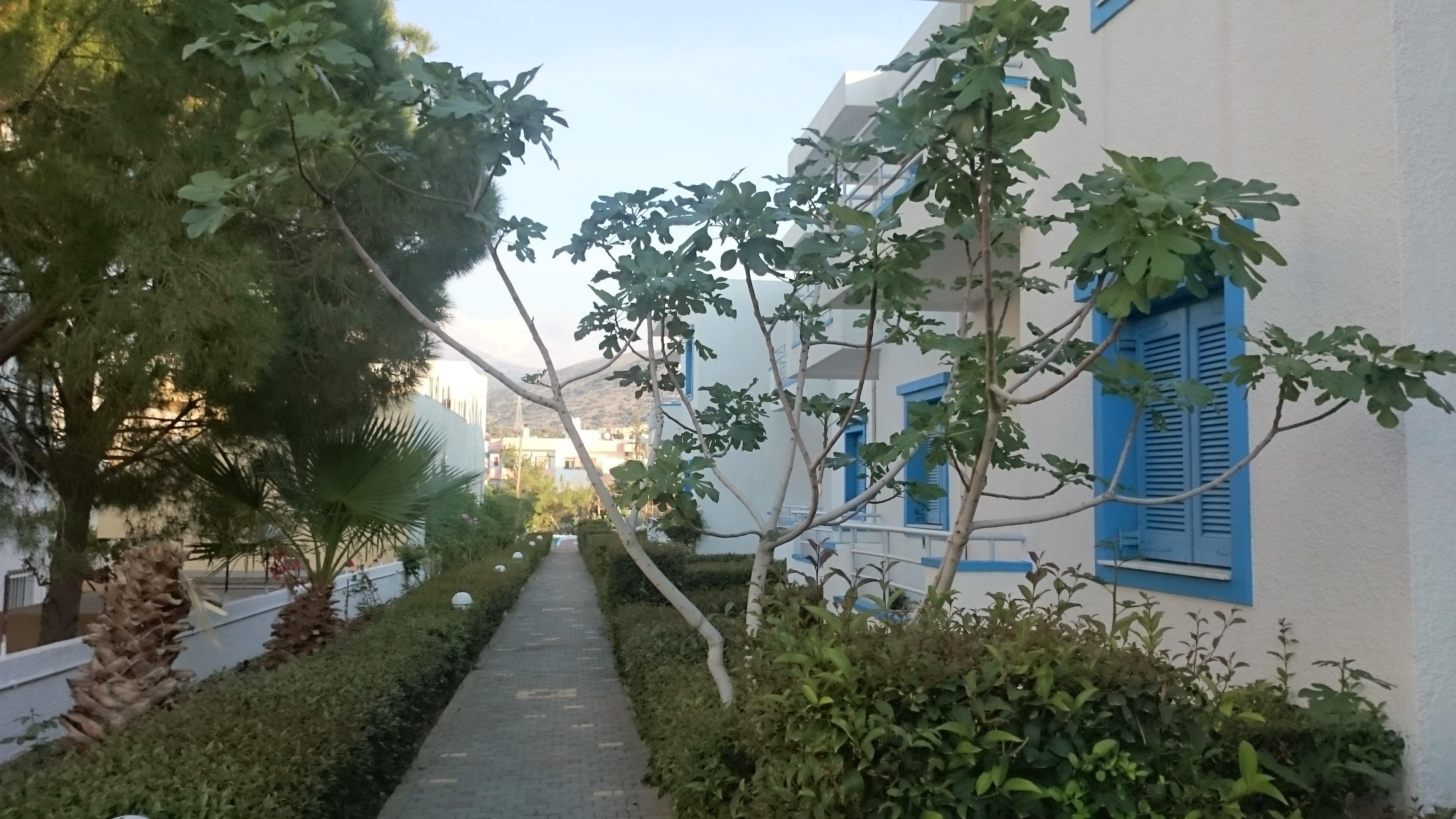 Amazones Villas Apartments Limenas Chersonisou Exterior foto